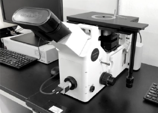 Metallographic microscope